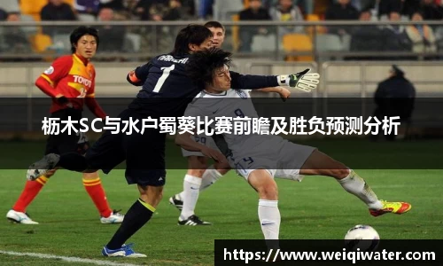 枥木SC与水户蜀葵比赛前瞻及胜负预测分析