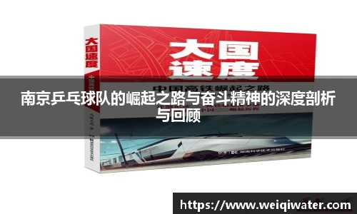 南京乒乓球队的崛起之路与奋斗精神的深度剖析与回顾